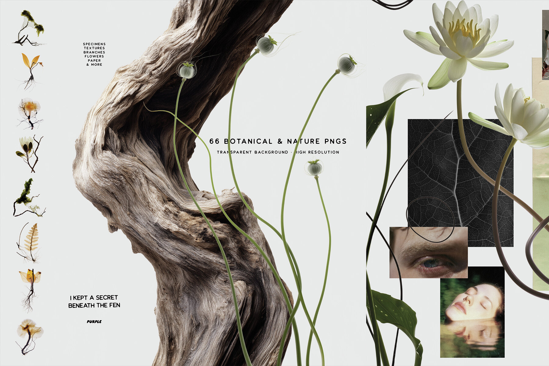 Botanical and Nature Collage Kit 4