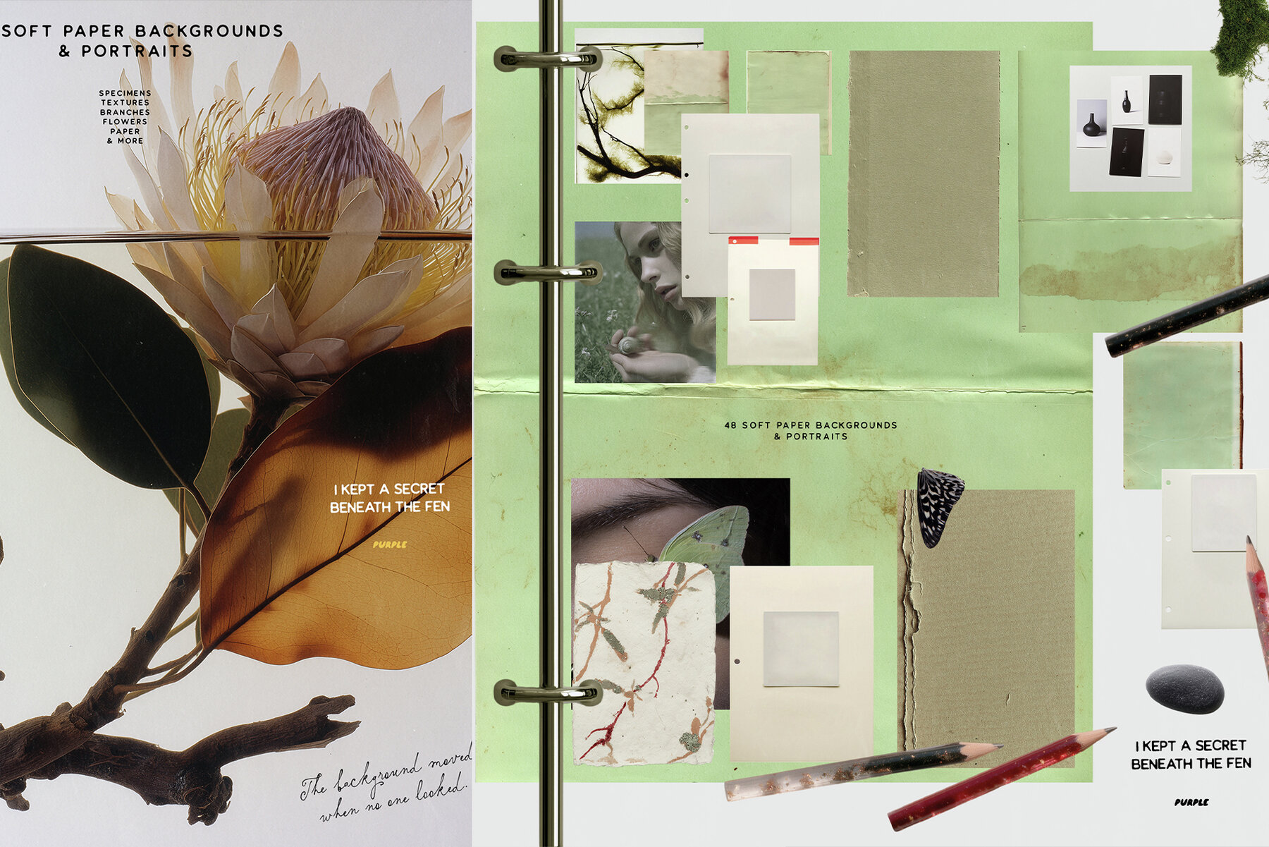 Botanical and Nature Collage Kit 5