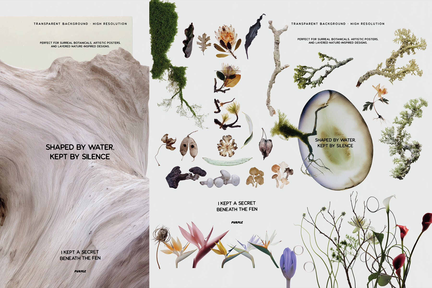 Botanical and Nature Collage Kit 8