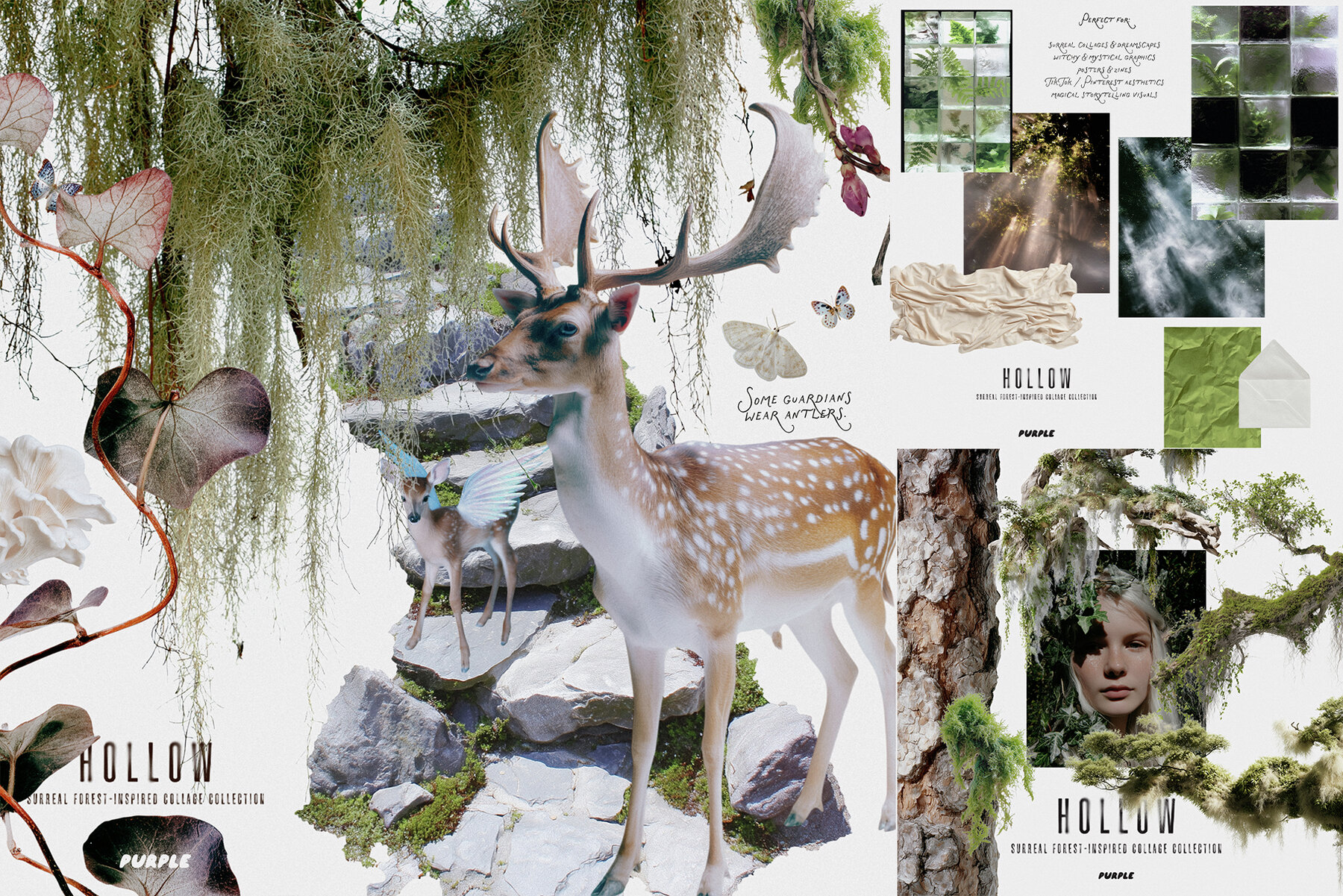 Hollow Mystical Forest Collage Pack 4