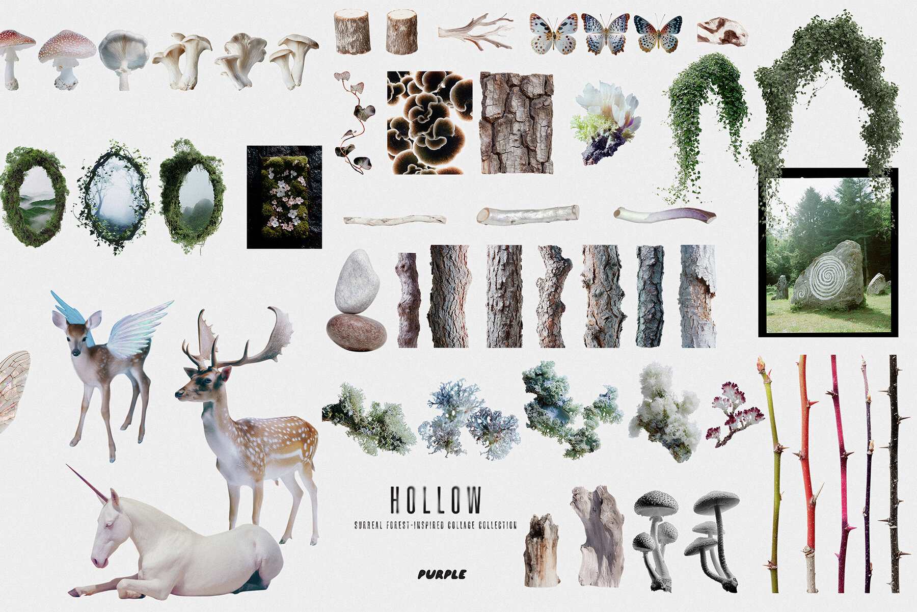 Hollow Mystical Forest Collage Pack 6