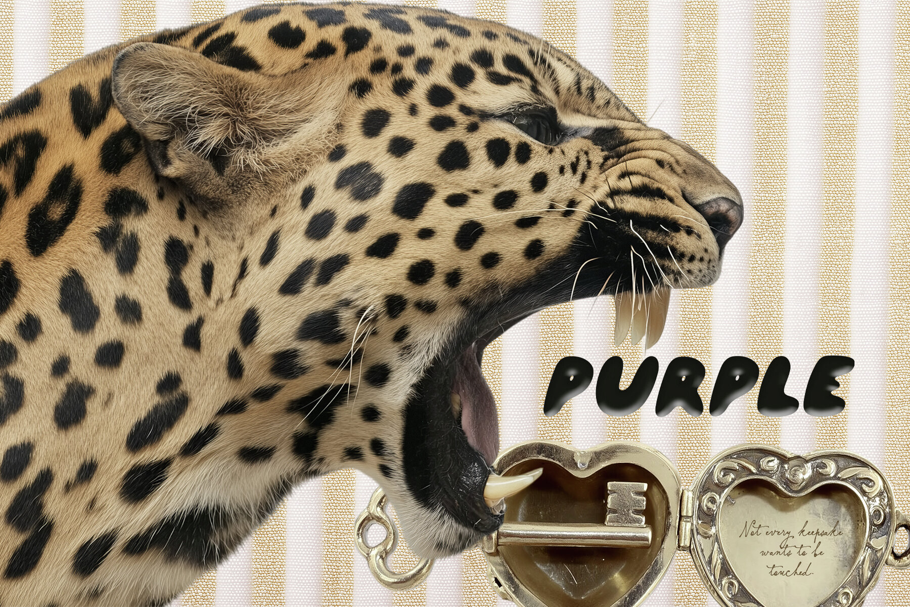 Laced Collage Collection 3