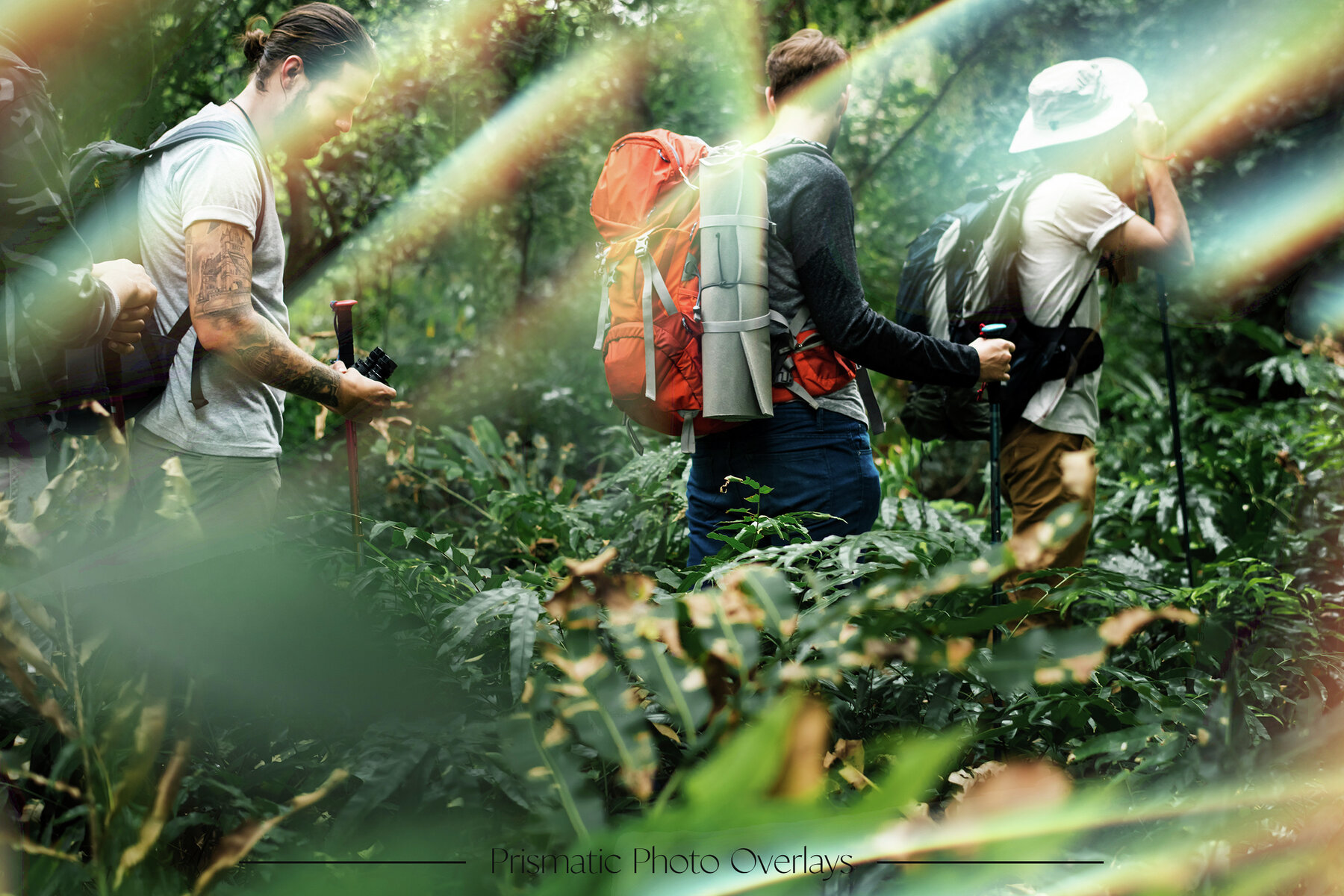 Prismatic Photo Overlays 7