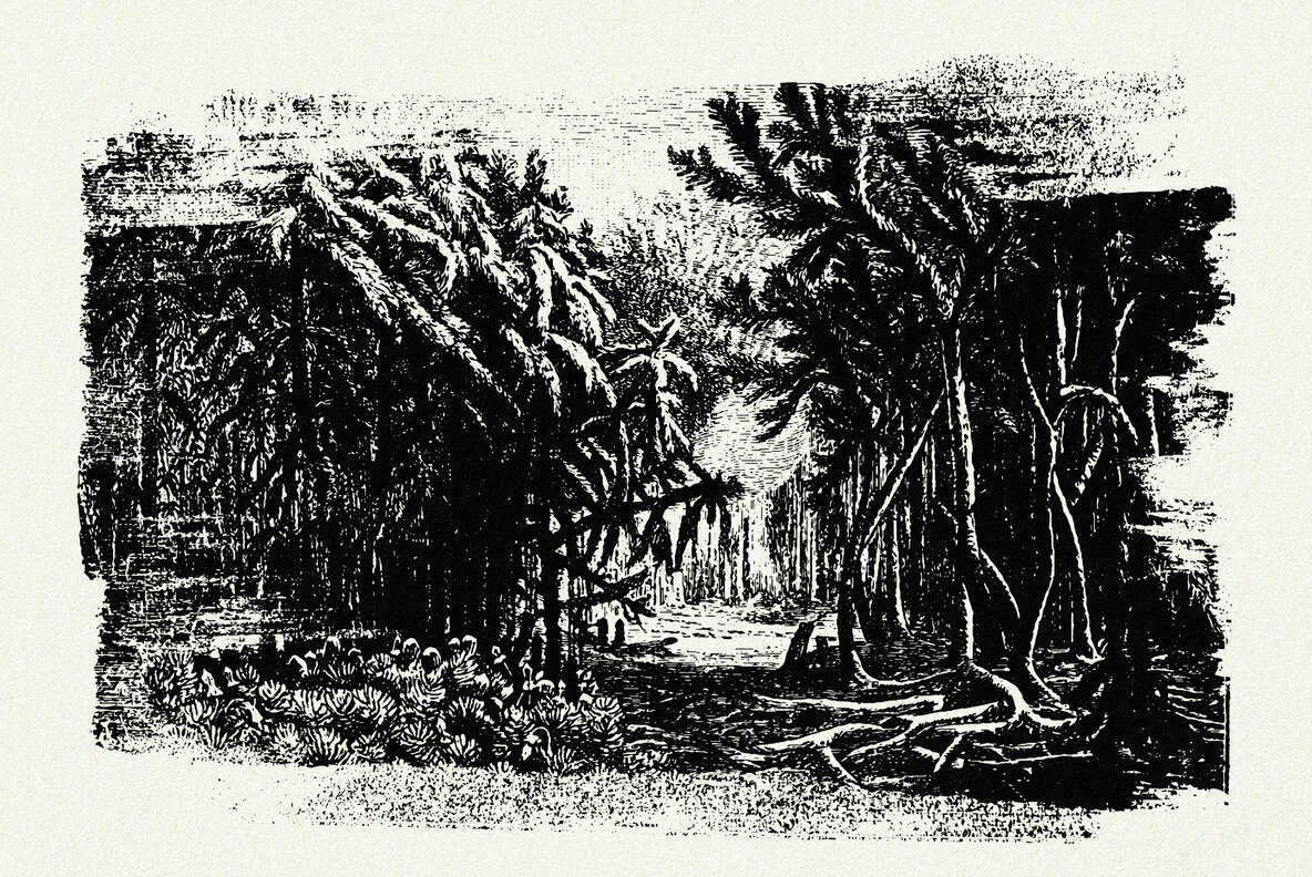 Ink Roller Strokes 5