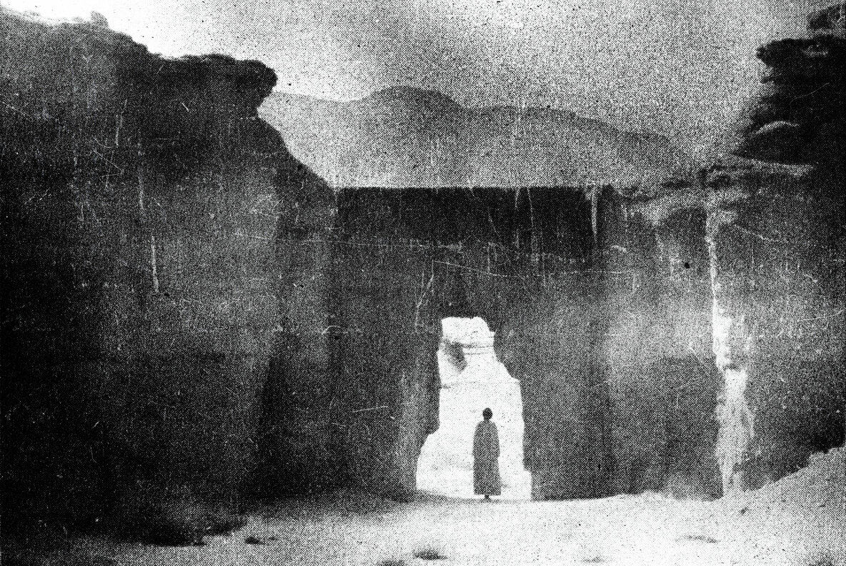 Grunge Riso Photo Effect 3