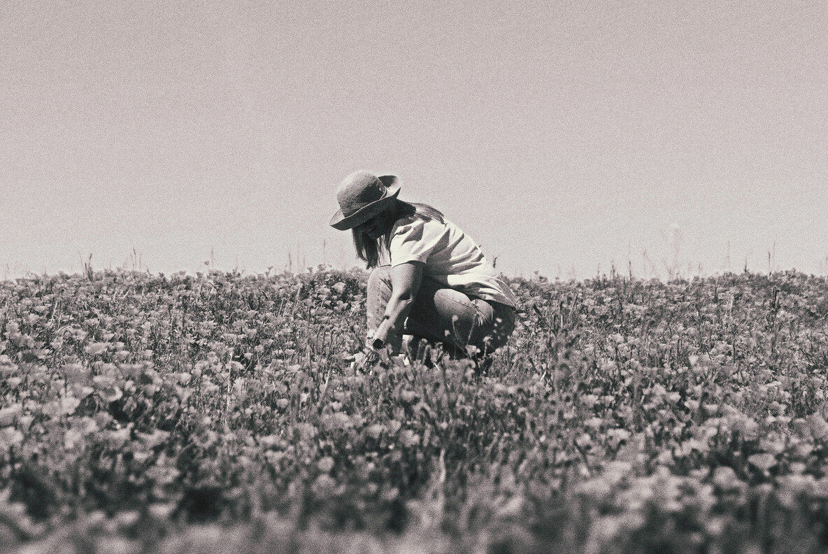 Grain Cinematic Photo Effect 3