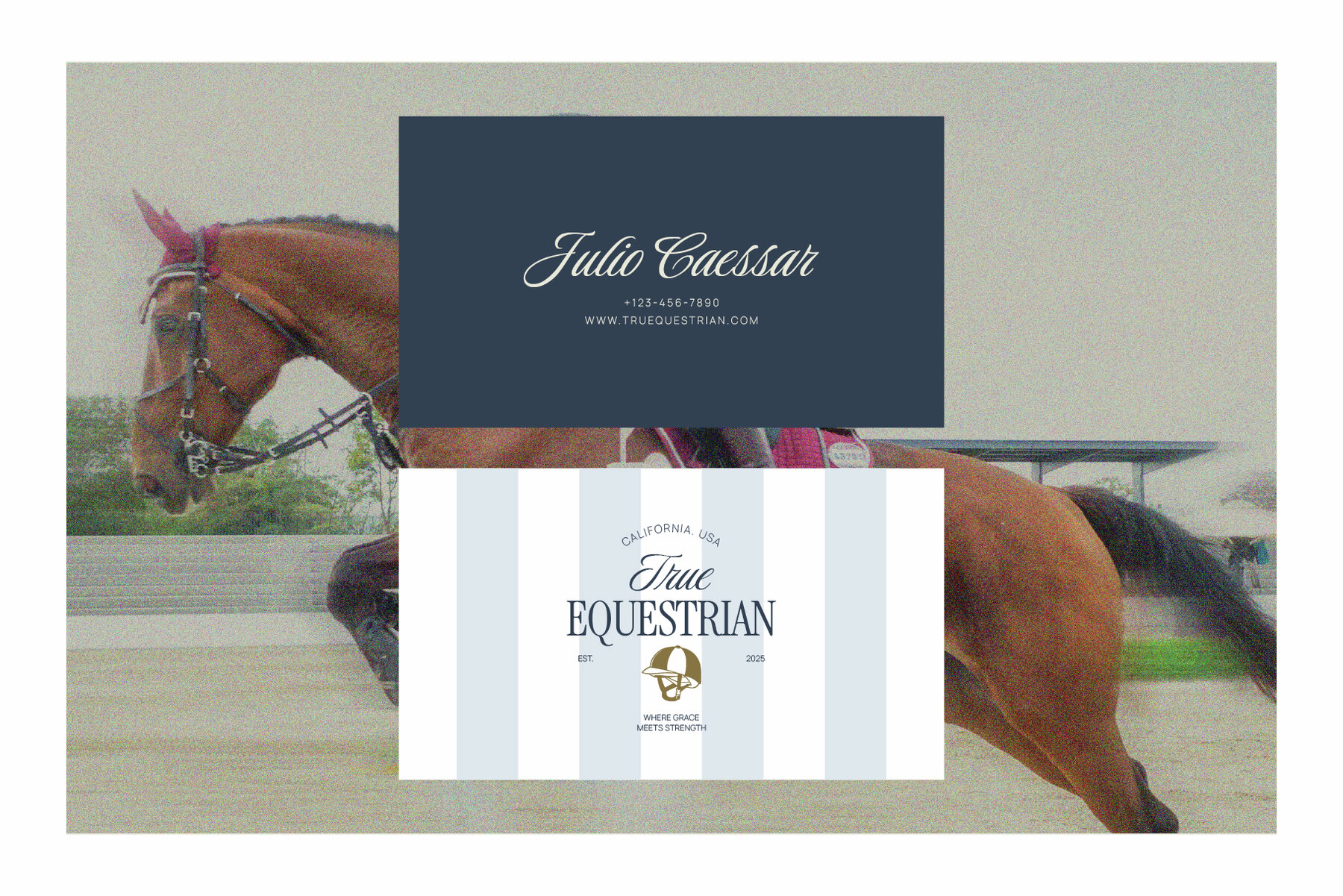 Equestrian Heritage Graphic Pack 8