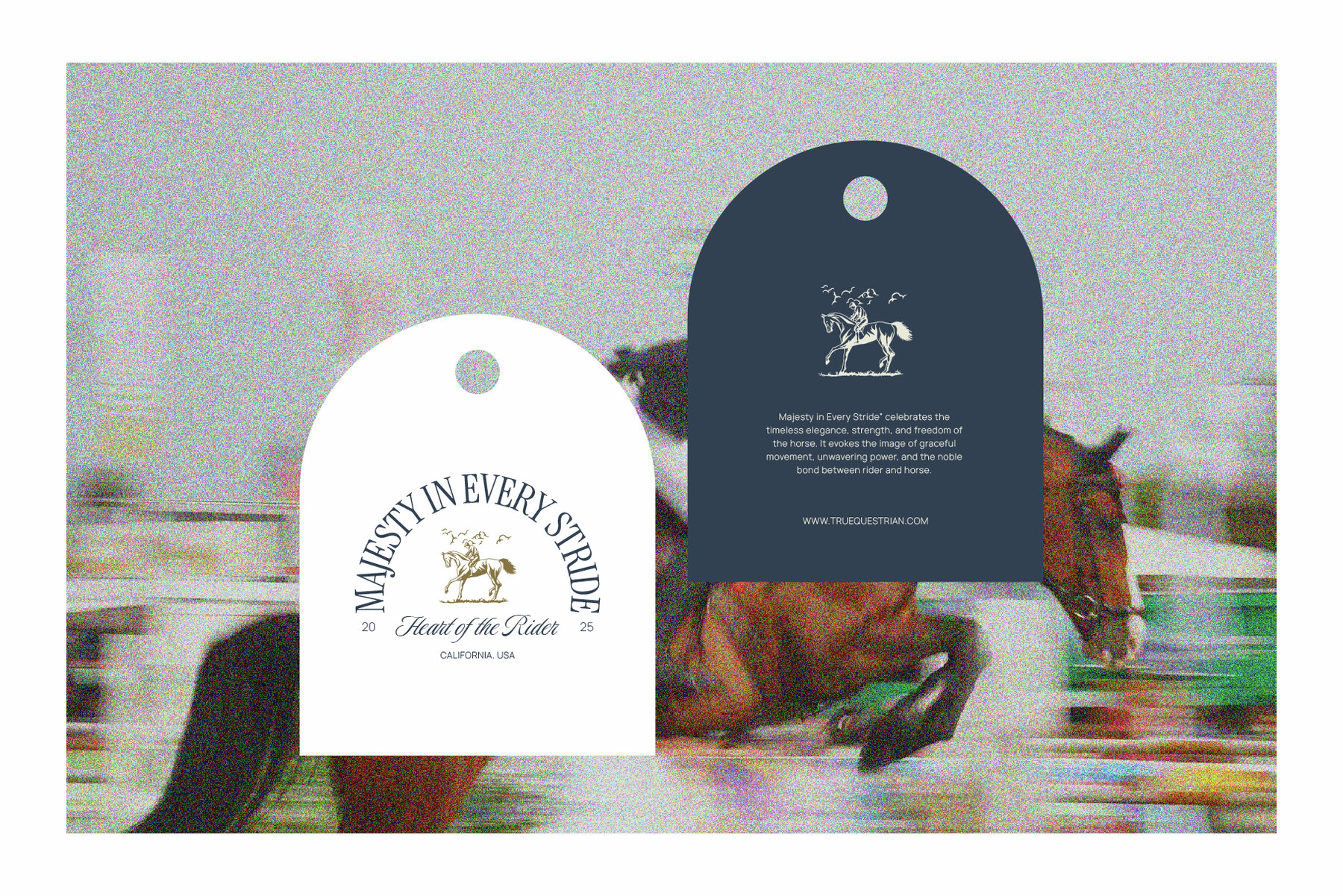 Equestrian Heritage Graphic Pack 9