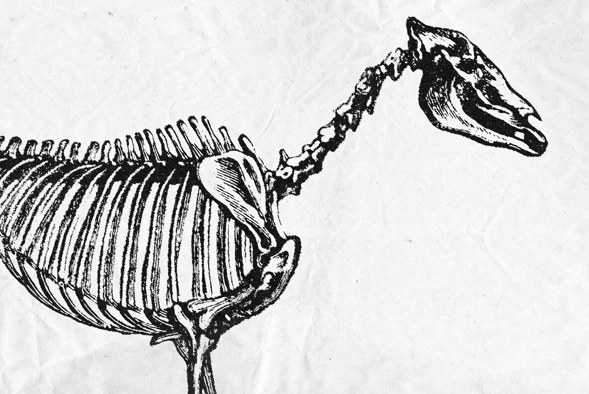 Stamp Ink Print Effect 3