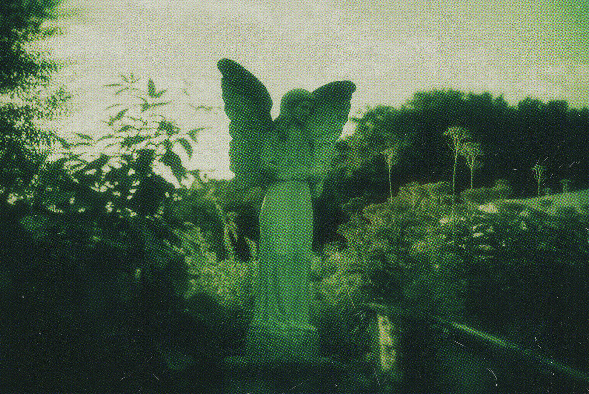 Greenish Postcard Photo Effect 3