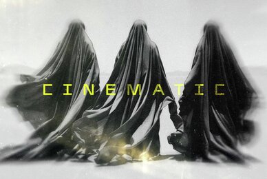 Blurred Cinematic Photo Effect