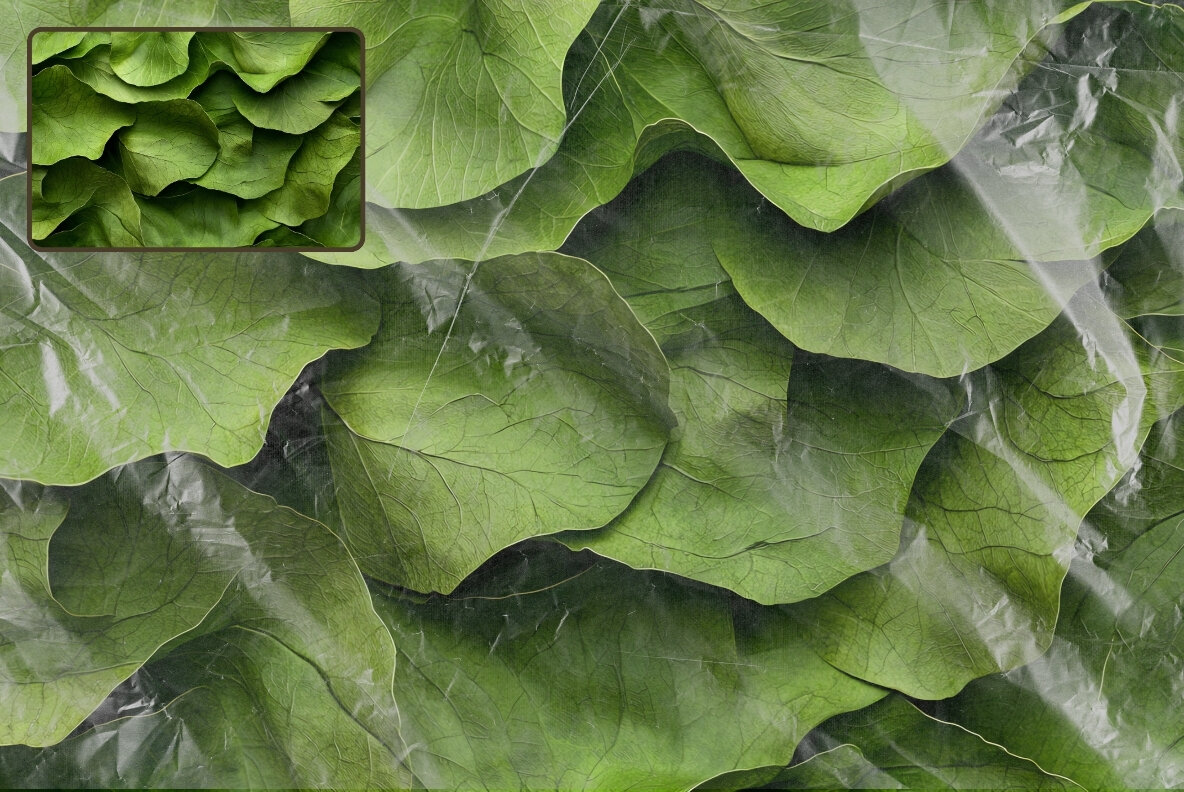 42 Transparent Plastic Film Overlays 6