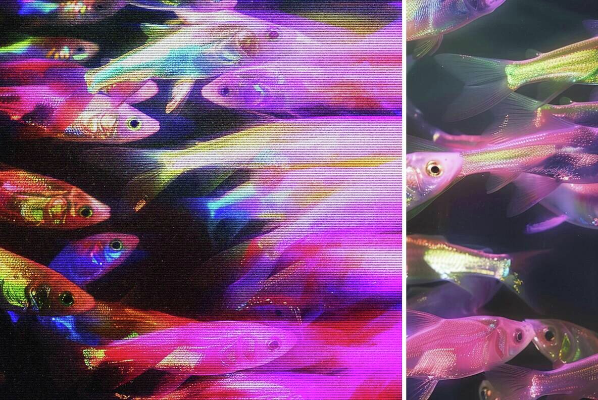 Blurry Lined Motion Photo Effect 5