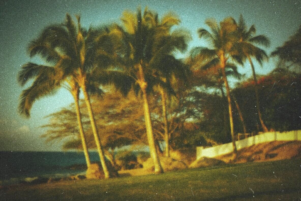 Nostalgic Film Photo Effect 3