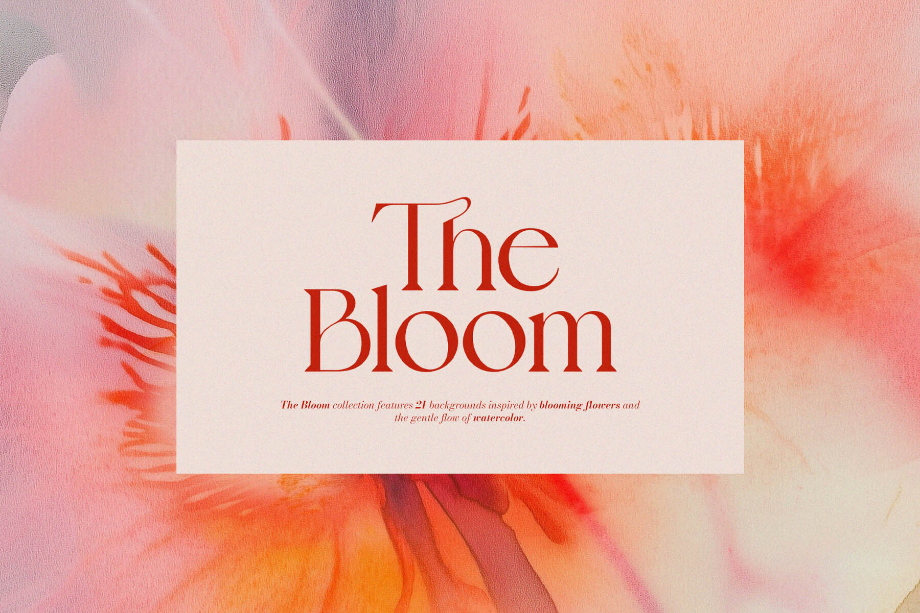 The Bloom Collection 1
