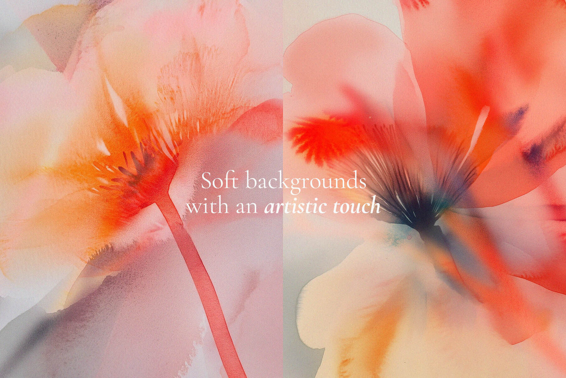 The Bloom Collection 2