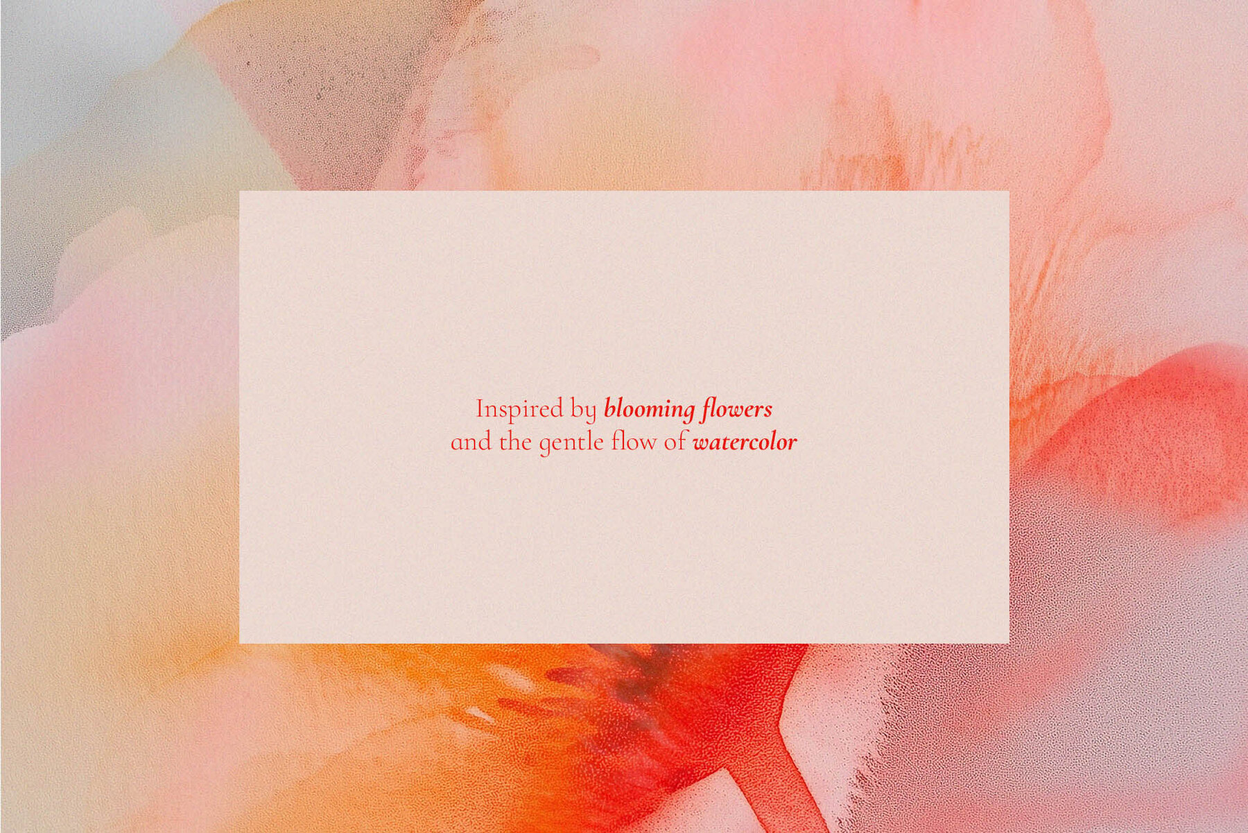 The Bloom Collection 3