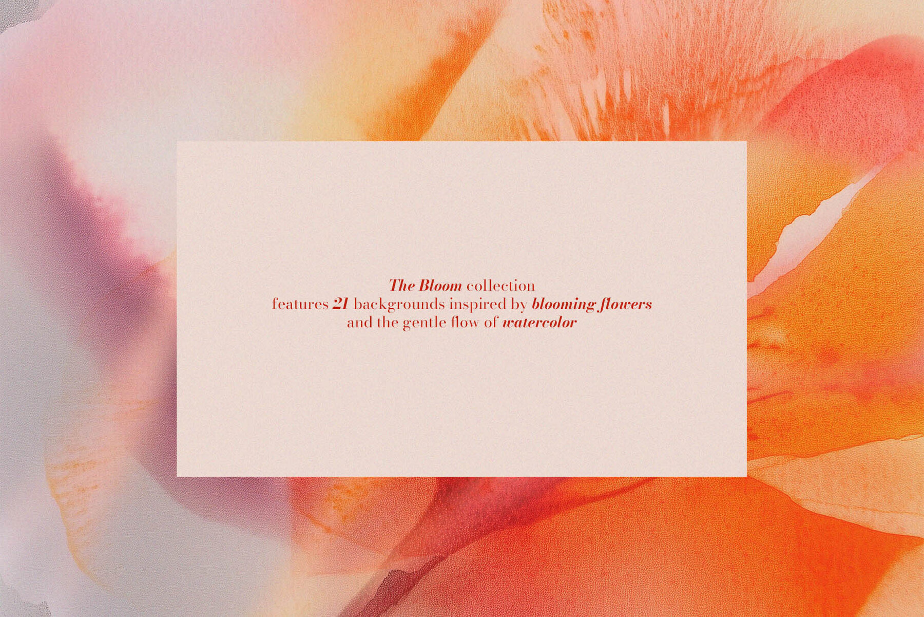 The Bloom Collection 7