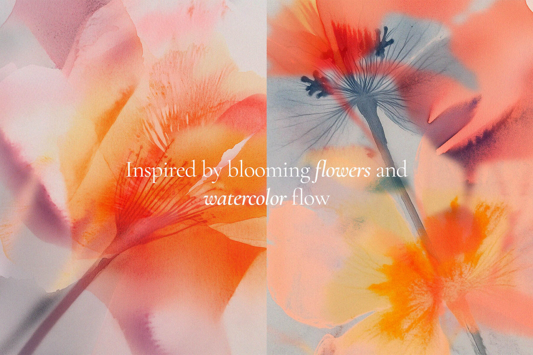 The Bloom Collection 8