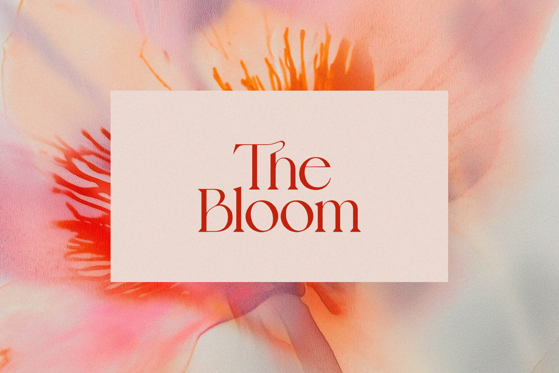 The Bloom Collection 10