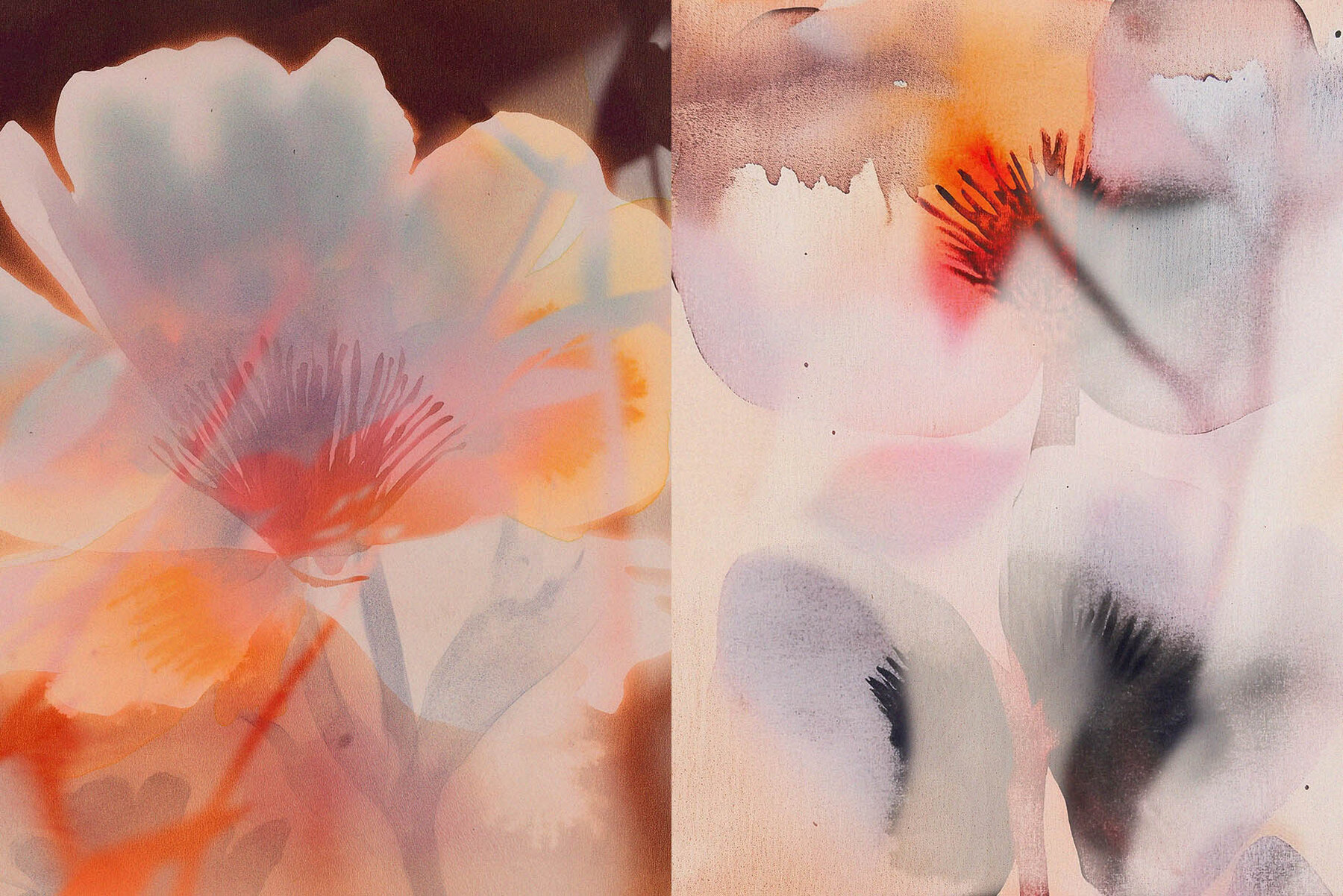 The Bloom Collection 11