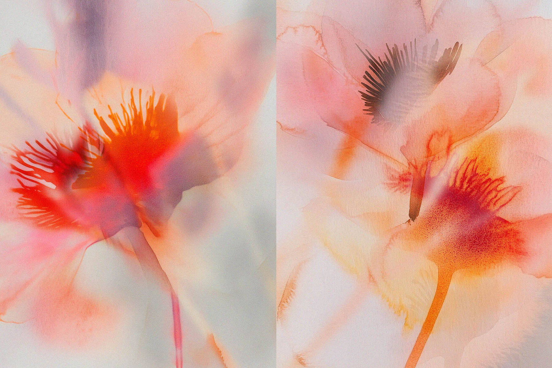 The Bloom Collection 12