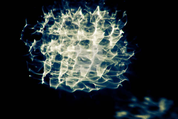 Exposure 04 Exposure 04