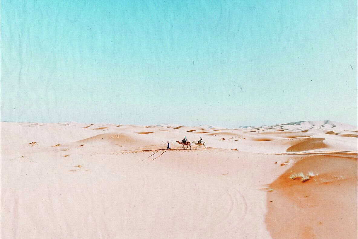 The White Papers Collection 10