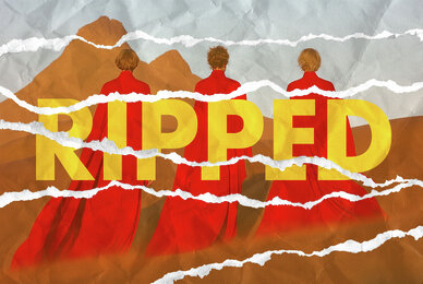 Ripped Collage Paper Photo Effect