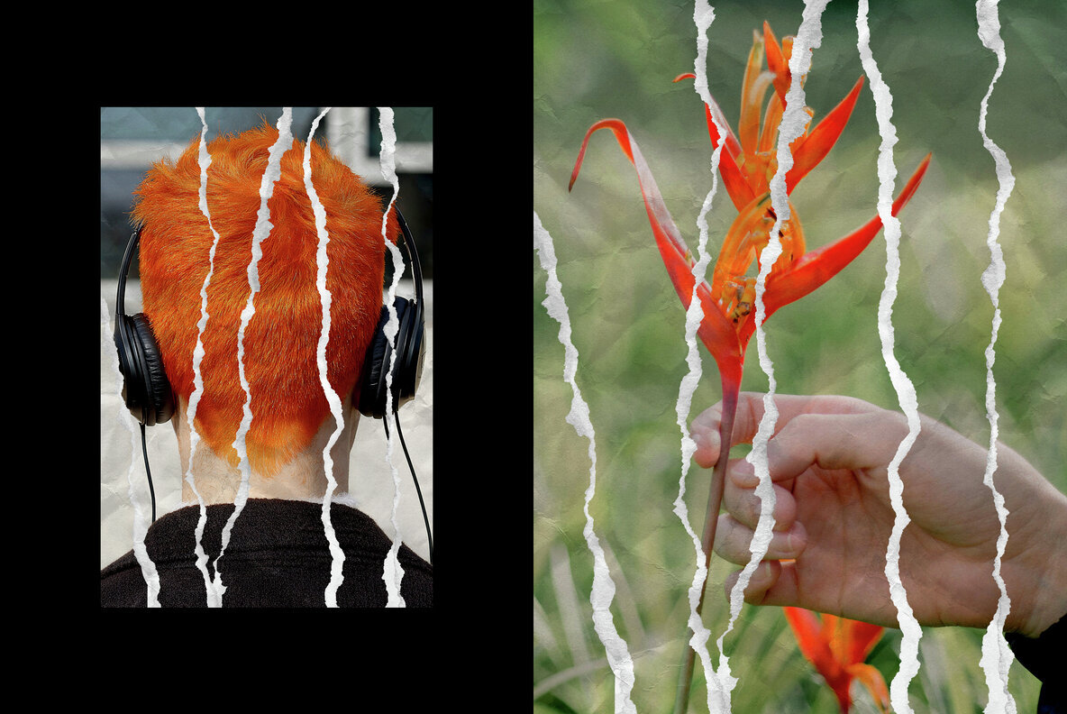 Ripped Collage Paper Photo Effect 2