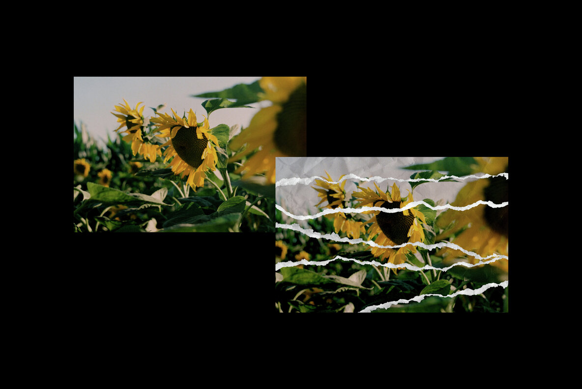 Ripped Collage Paper Photo Effect 6