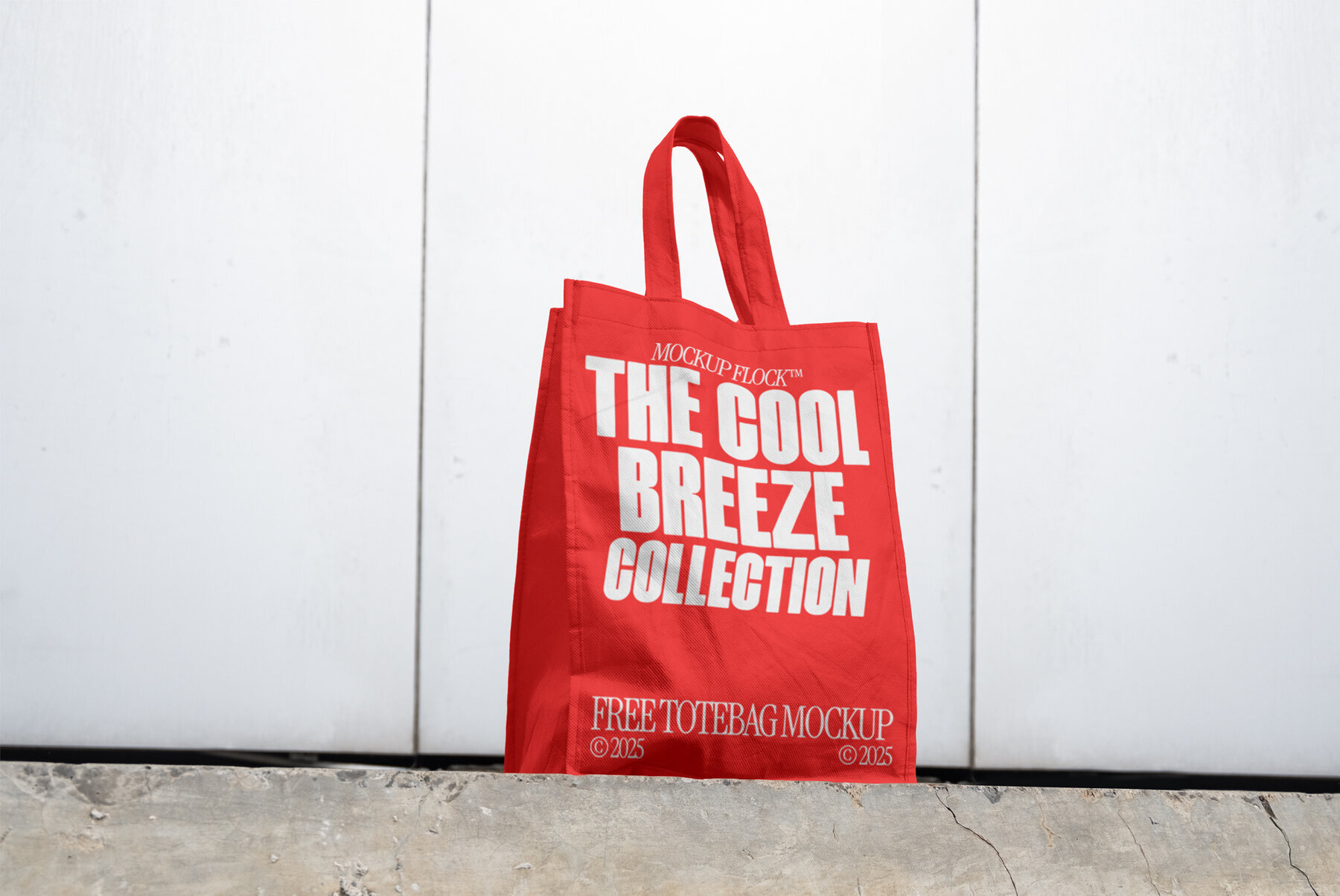 C and B Tote Bag 03 Mockup 3