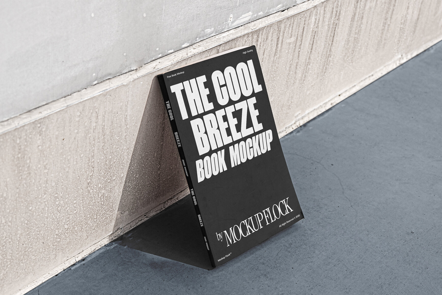 C B Book 01 Mockup 2