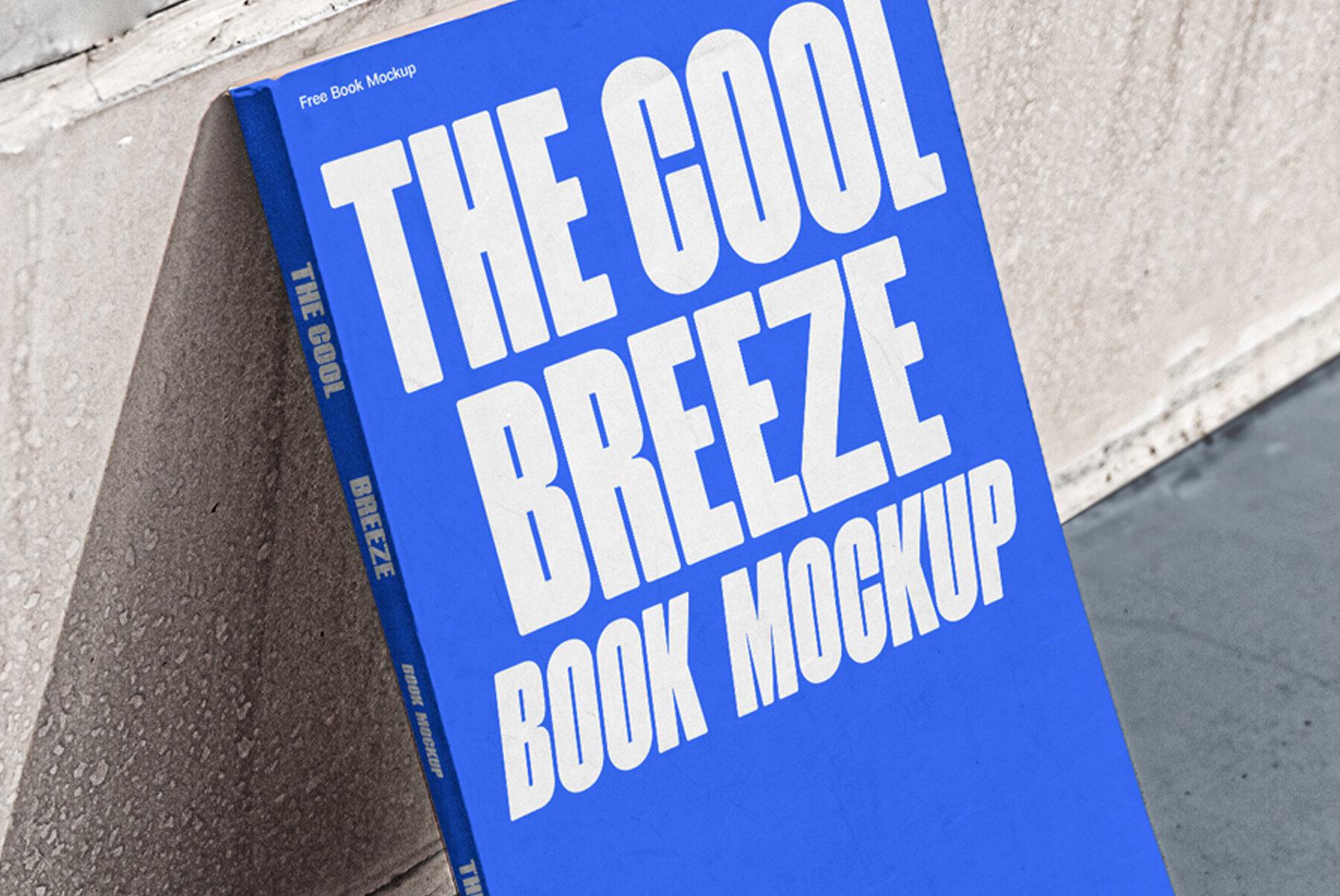 C B Book 01 Mockup 4