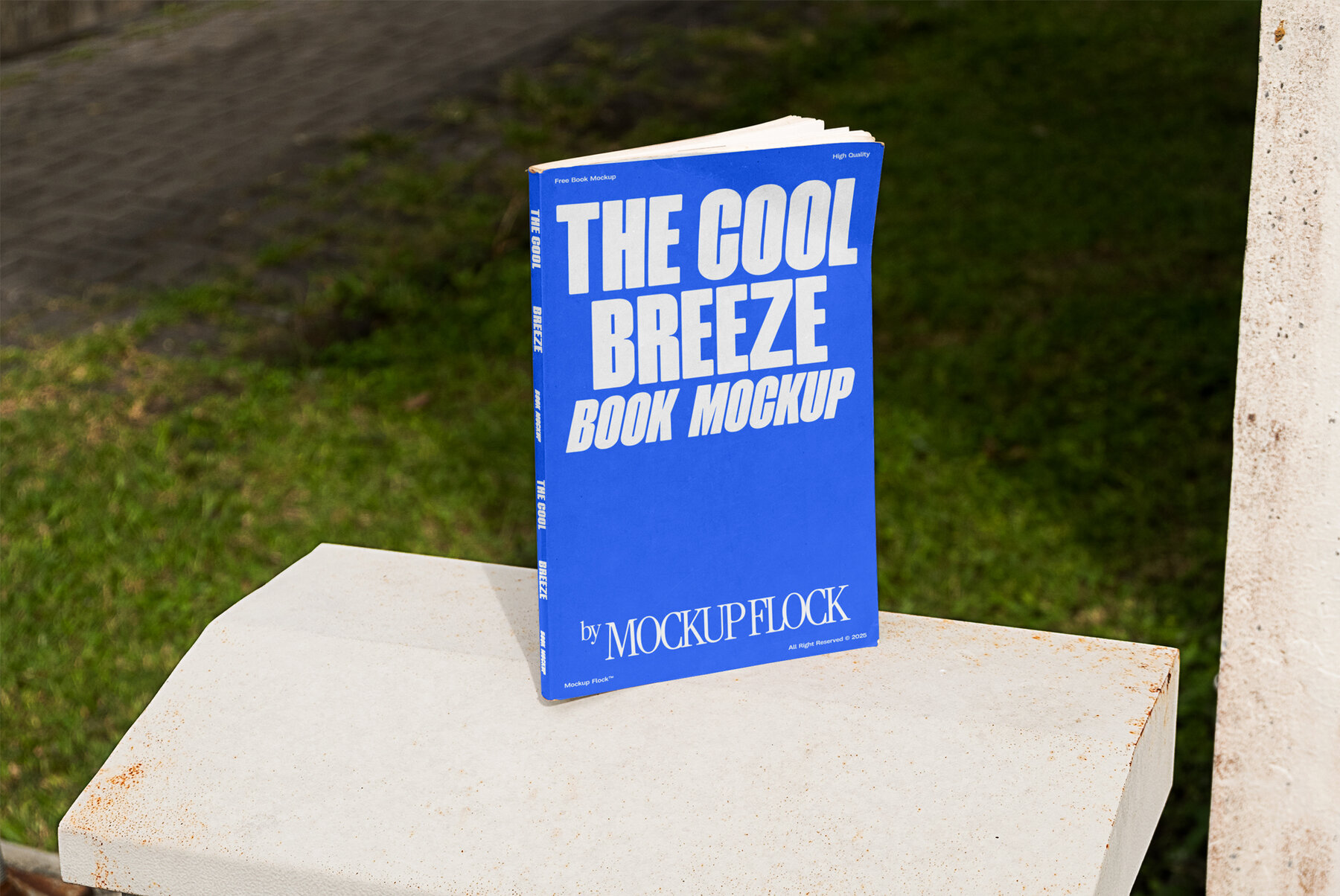 C and B Book 02 Mockup 1