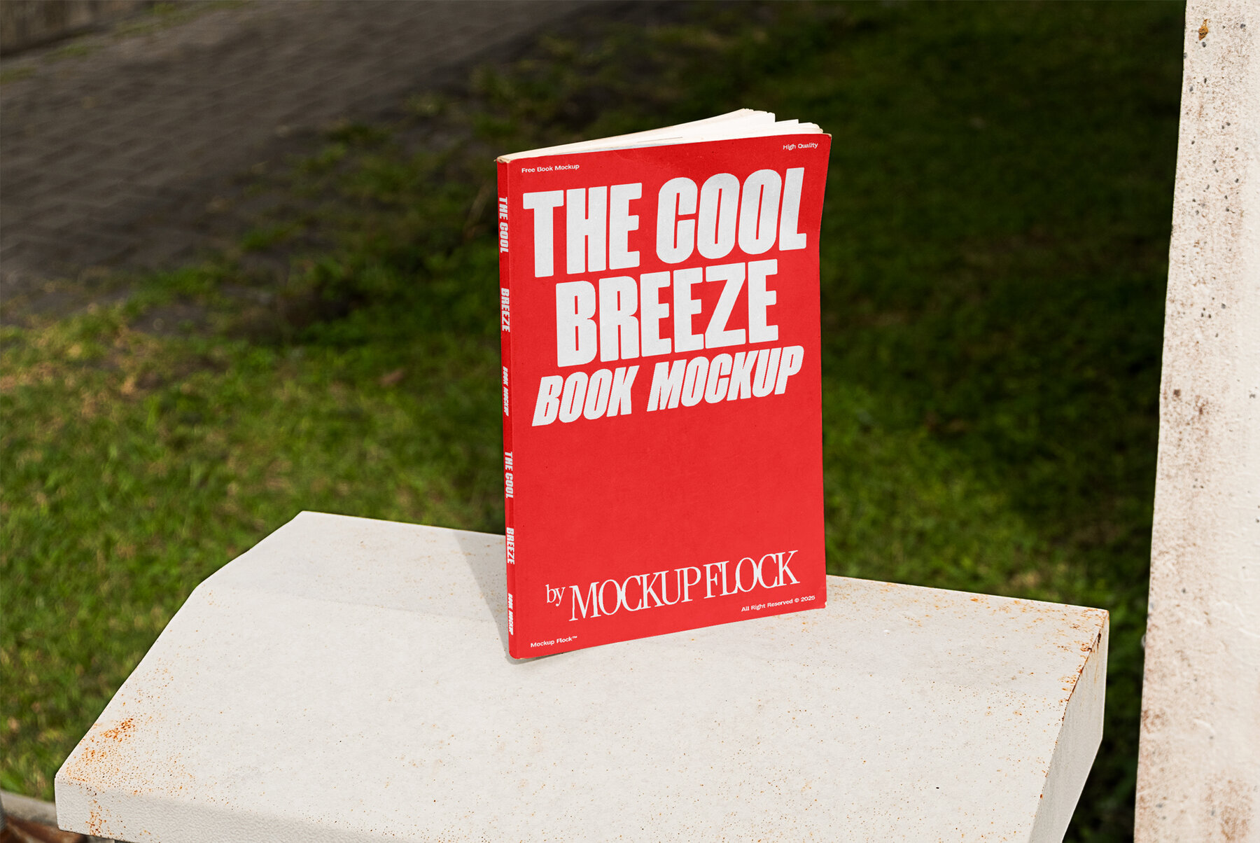 C and B Book 02 Mockup 3