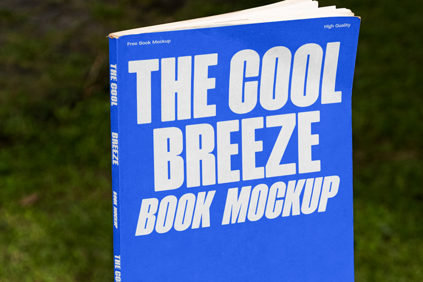 C and B Book 02 Mockup 4