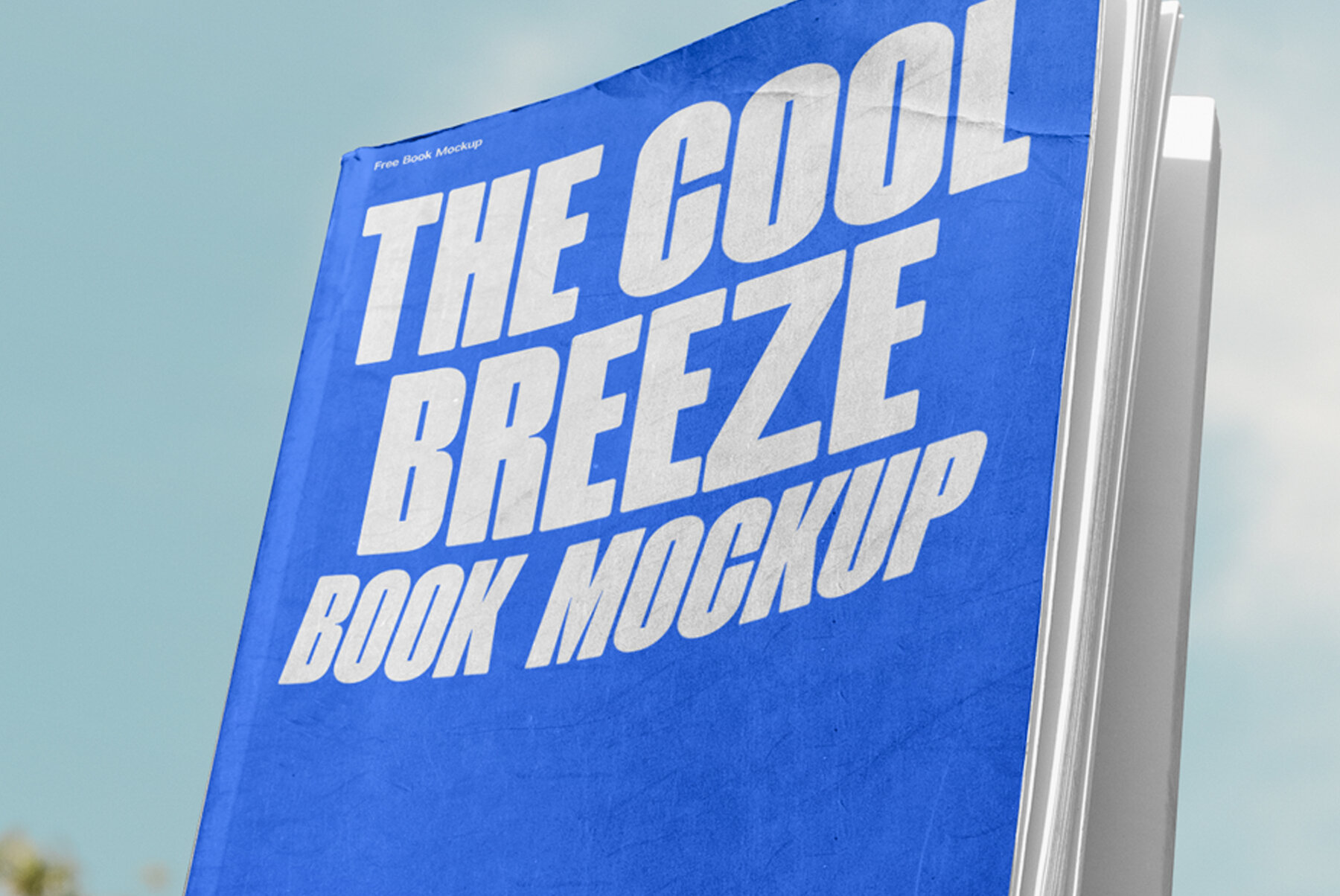 C and B Book 03 Mockup 4