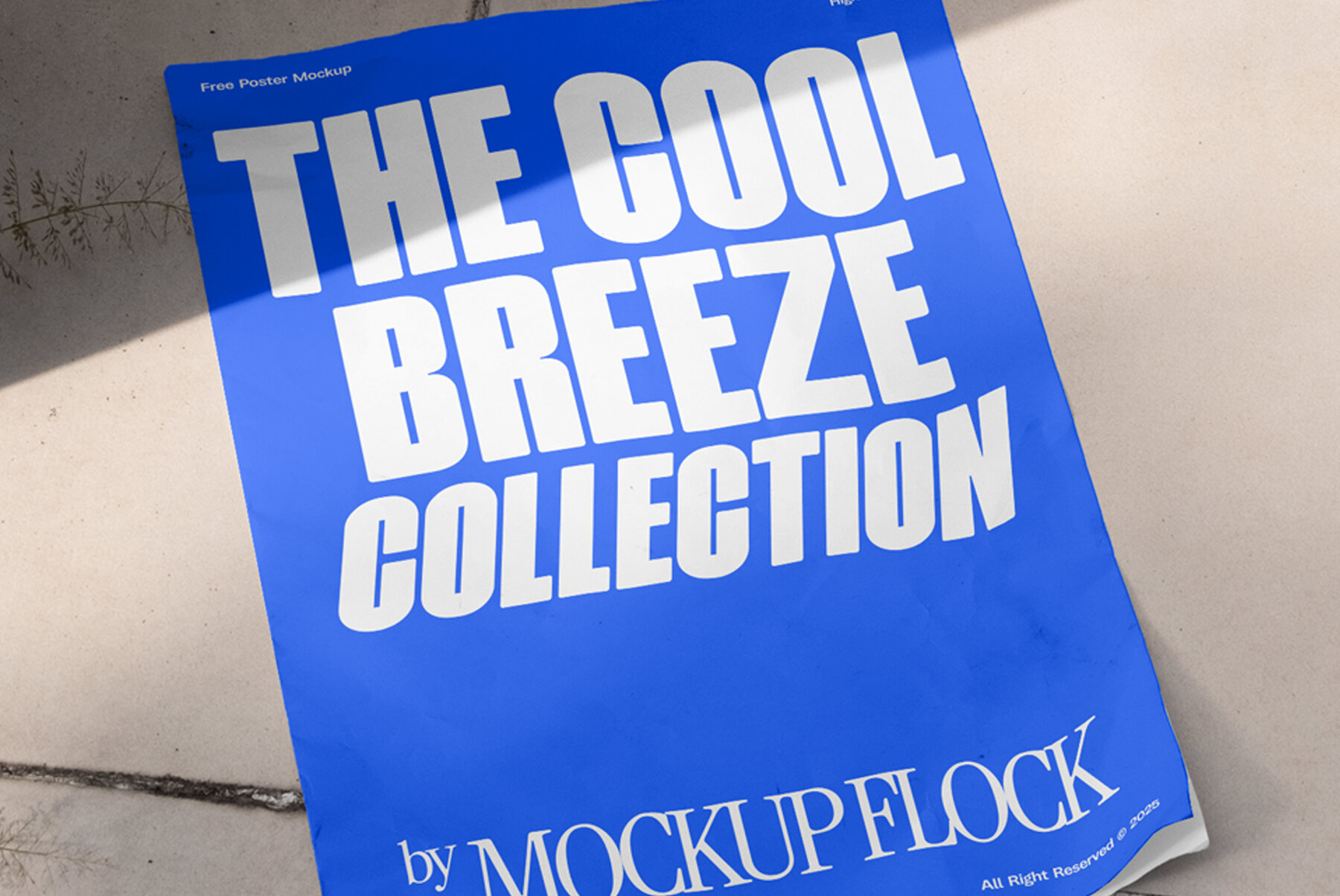 C and B Poster 01 Mockup 4