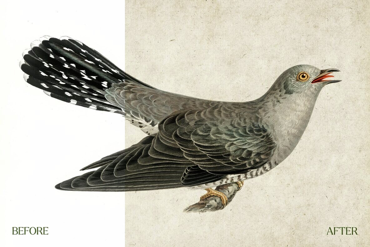 Vintage Paper Textures 3