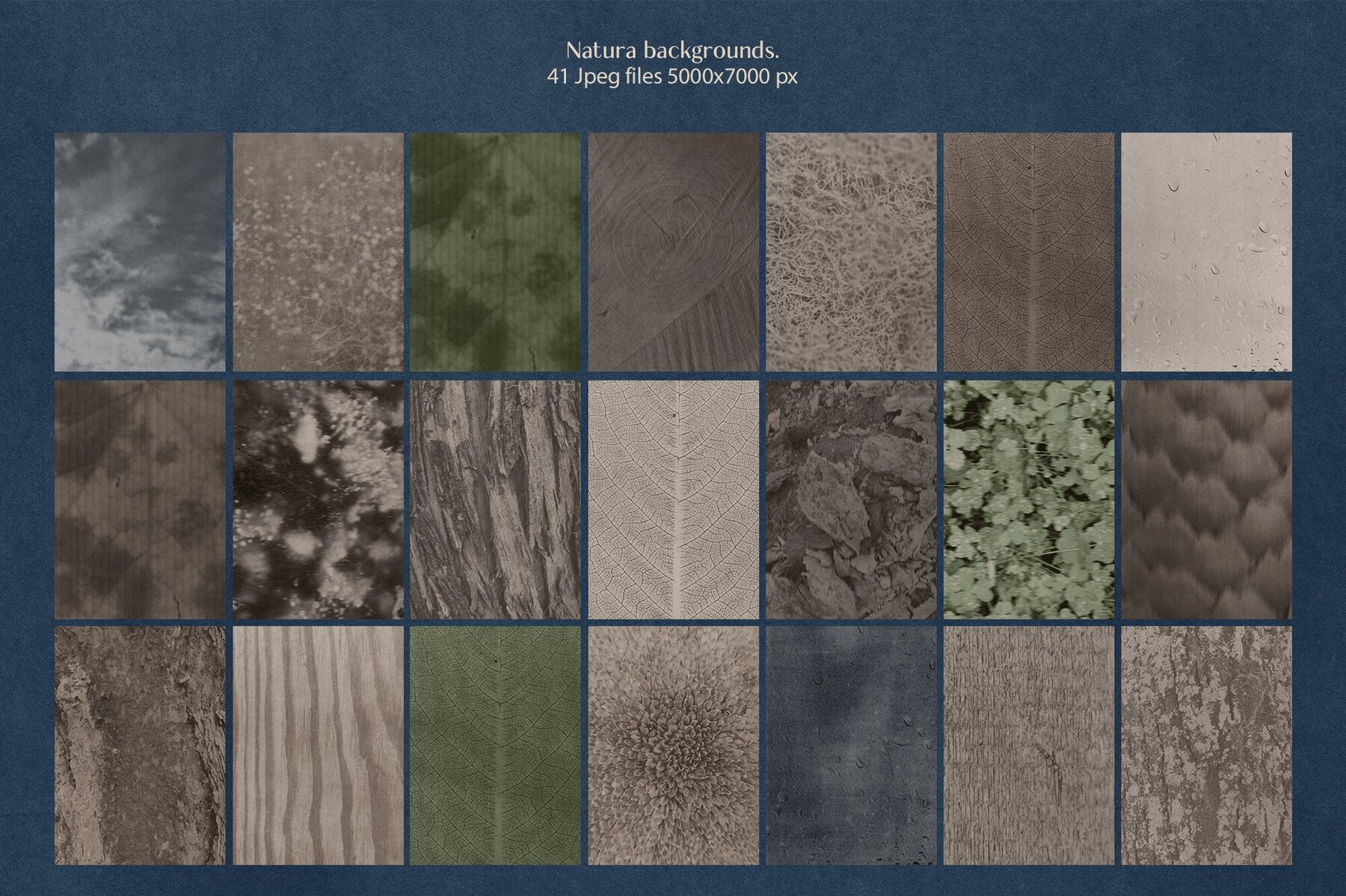 Old cottage stories 13