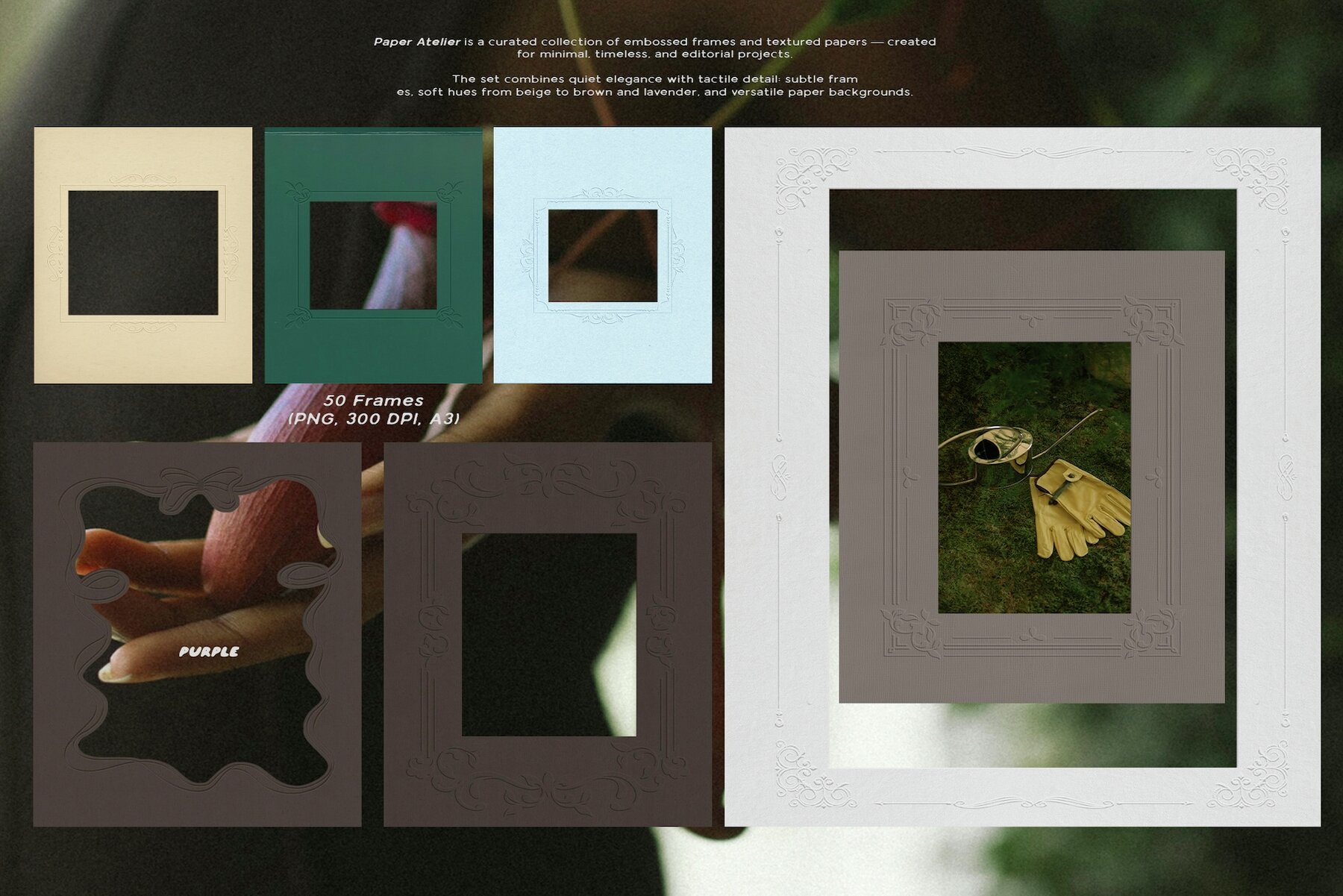 Embossed Papers   Frames 9