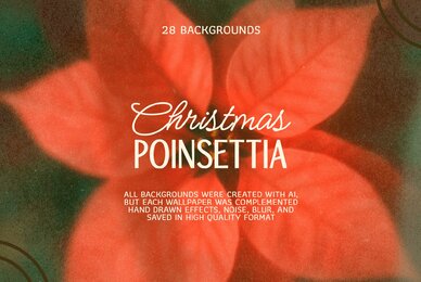 Christmas Poinsettia   Soft Floral backgrounds