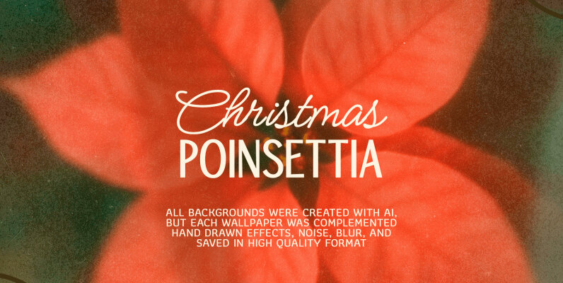 Christmas Poinsettia   Soft Floral backgrounds