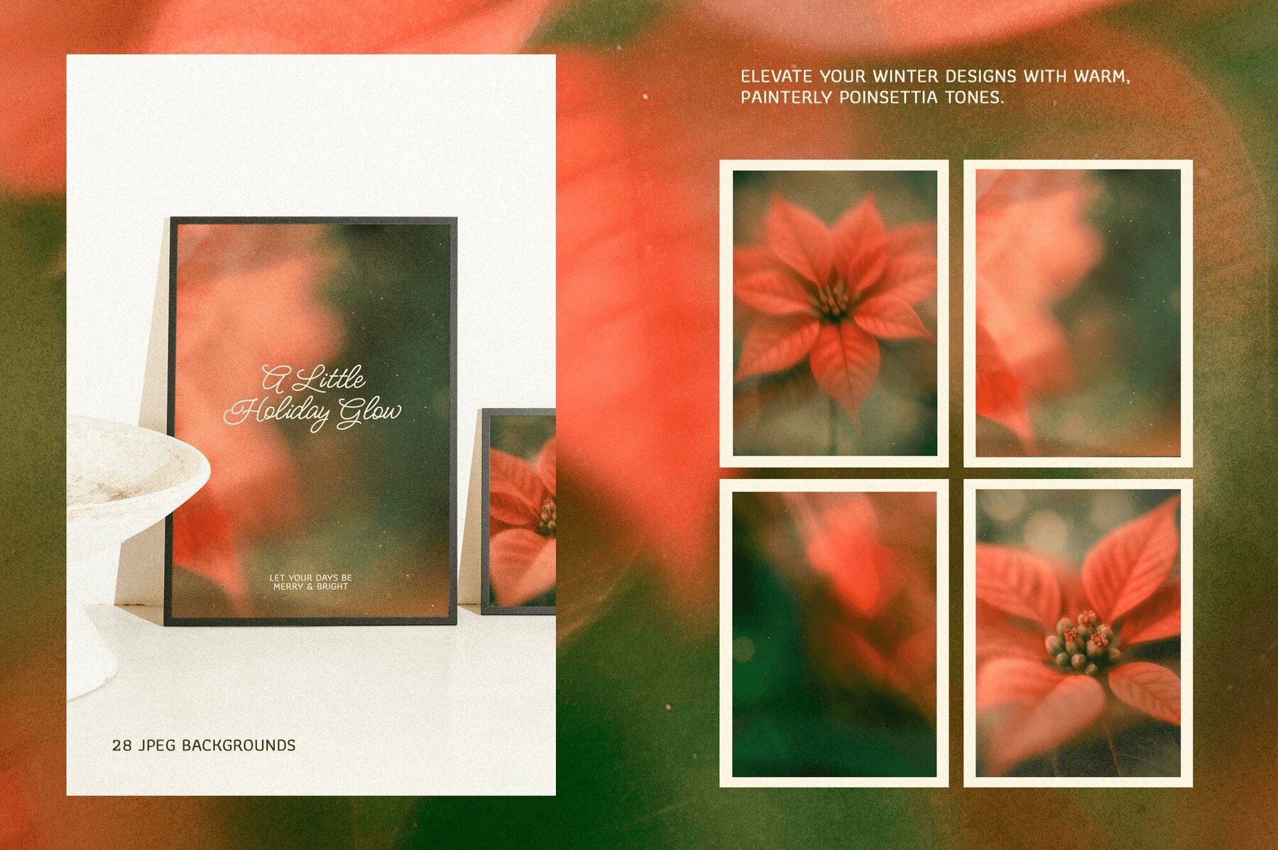 Christmas Poinsettia   Soft Floral backgrounds 8