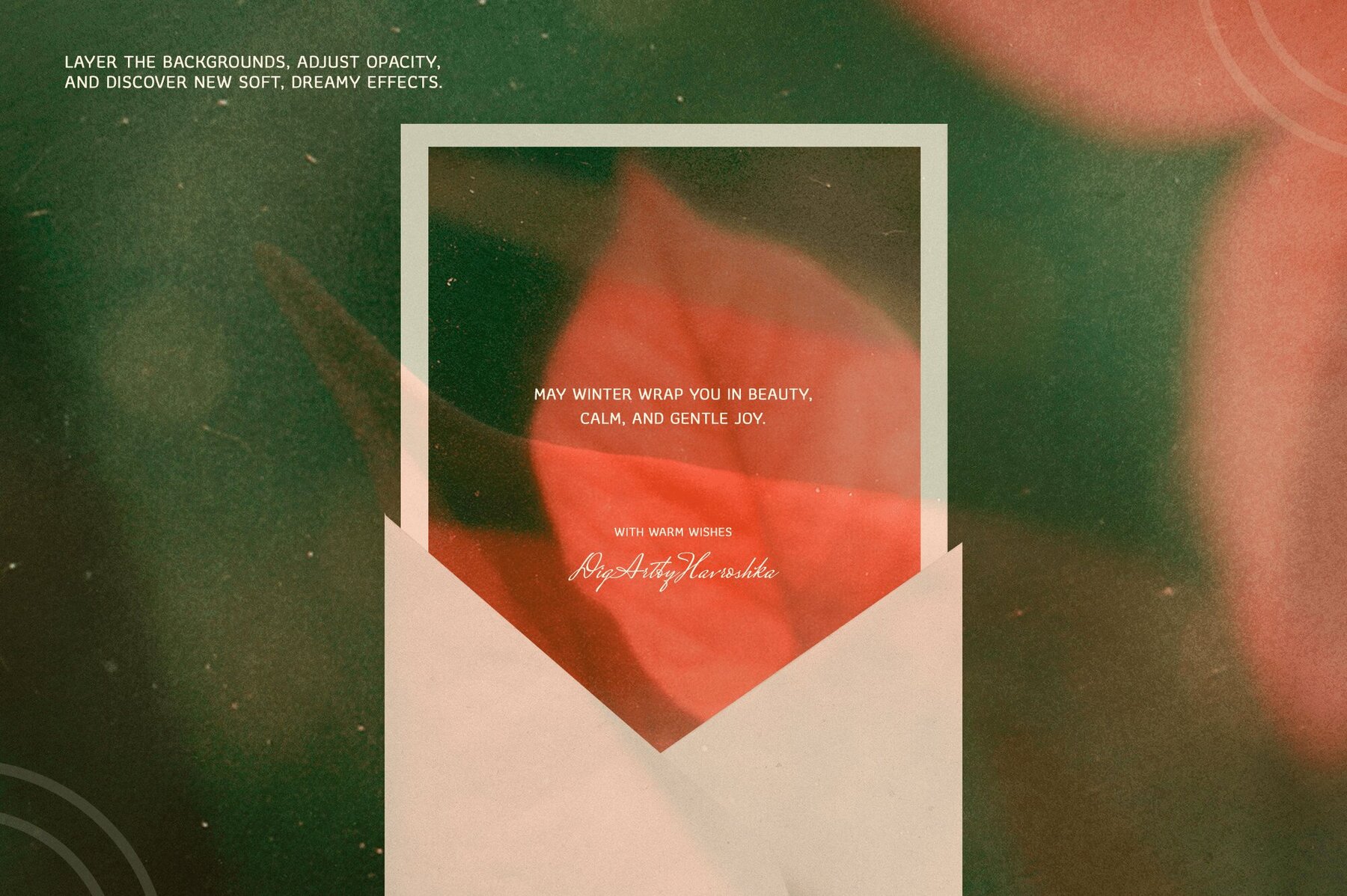 Christmas Poinsettia   Soft Floral backgrounds 9