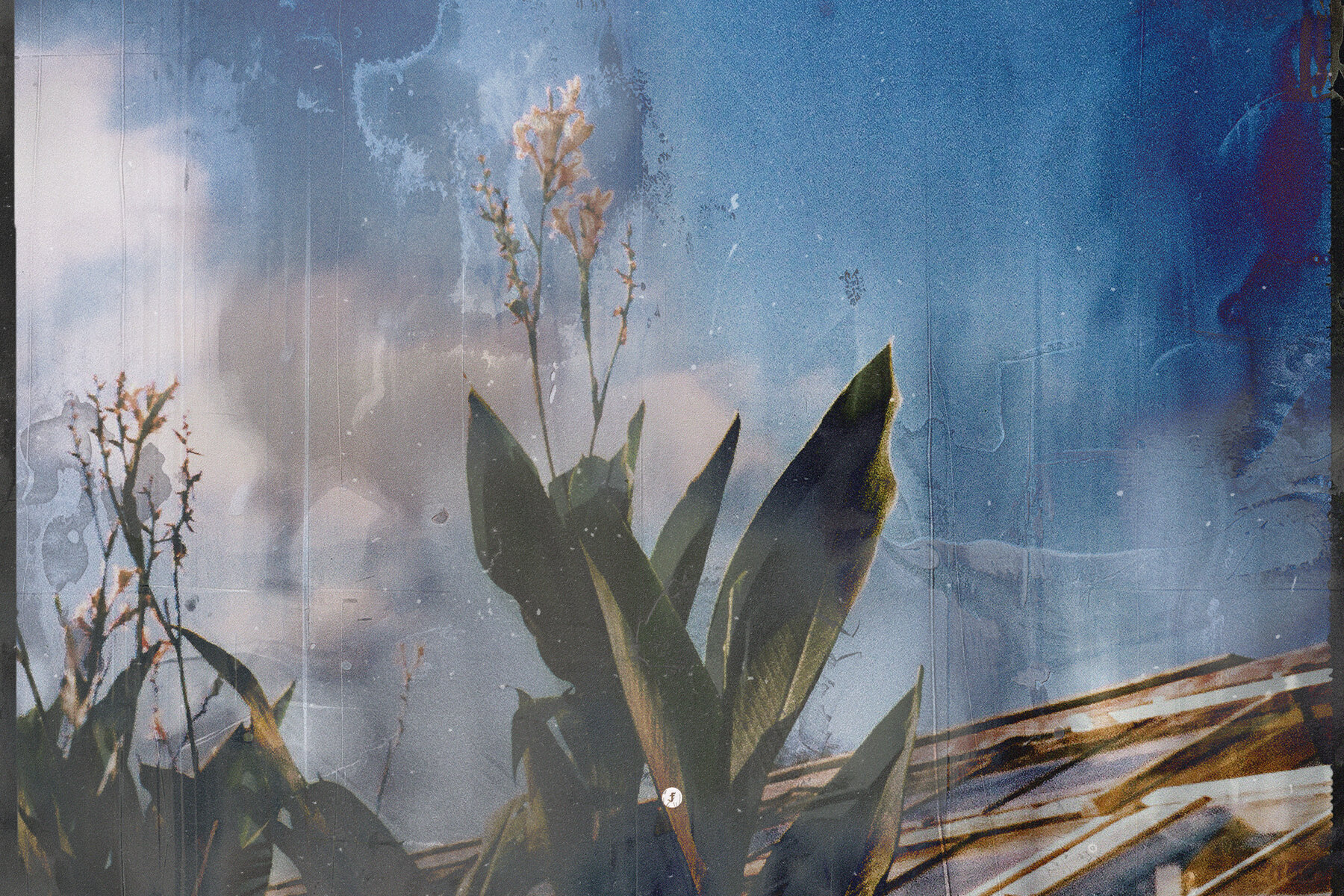 Burned Film Photo Effect 6