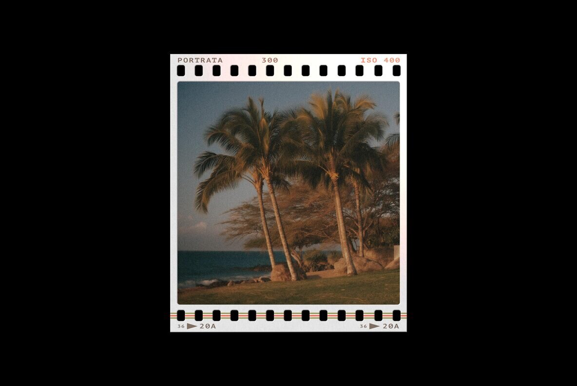 Film Frames Collection 22