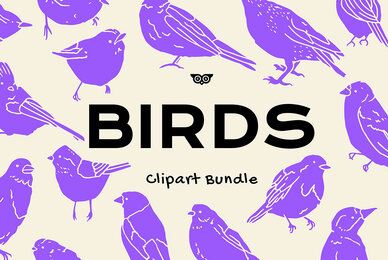 Birds Clipart Bundle