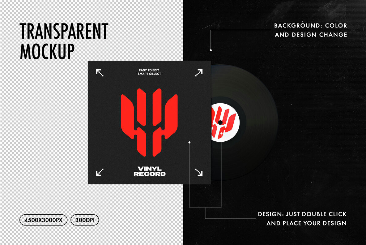 Vinyl Disc Mockup 2